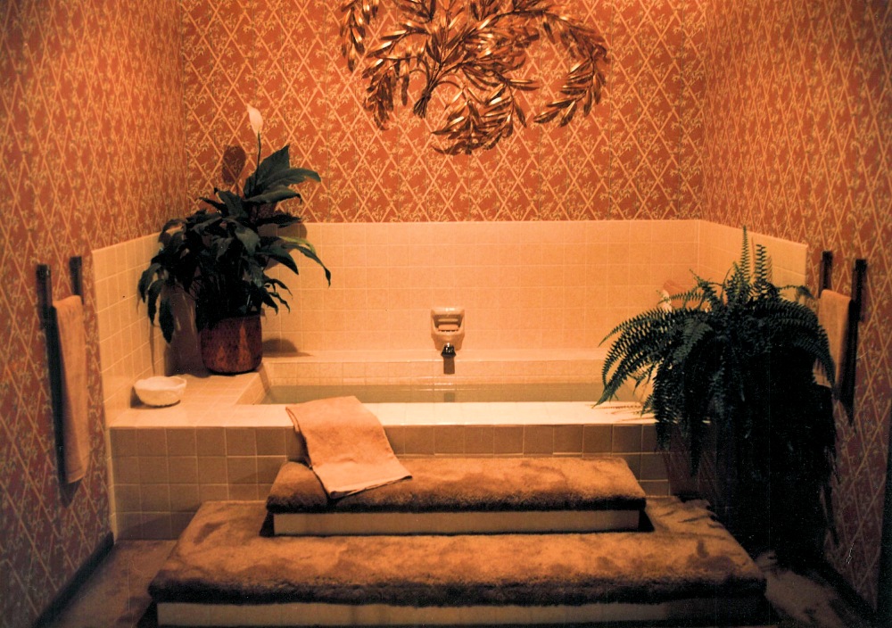 1980 Excelsior Street Of Dreams Jacuzzi Tub In Master